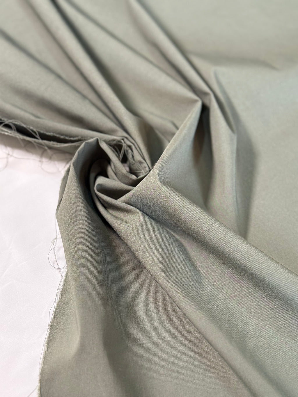 COTONE BENGALINO
